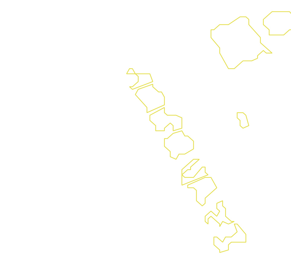 Daksegment met contourlijnen en structuurweergave