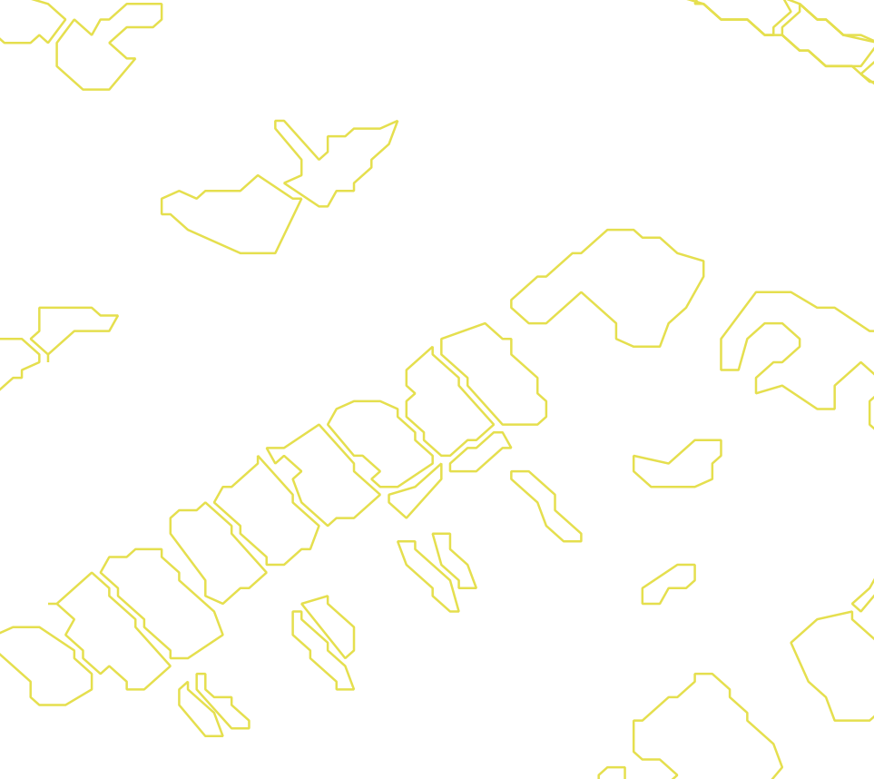 Daksegment met contourlijnen en structuurweergave