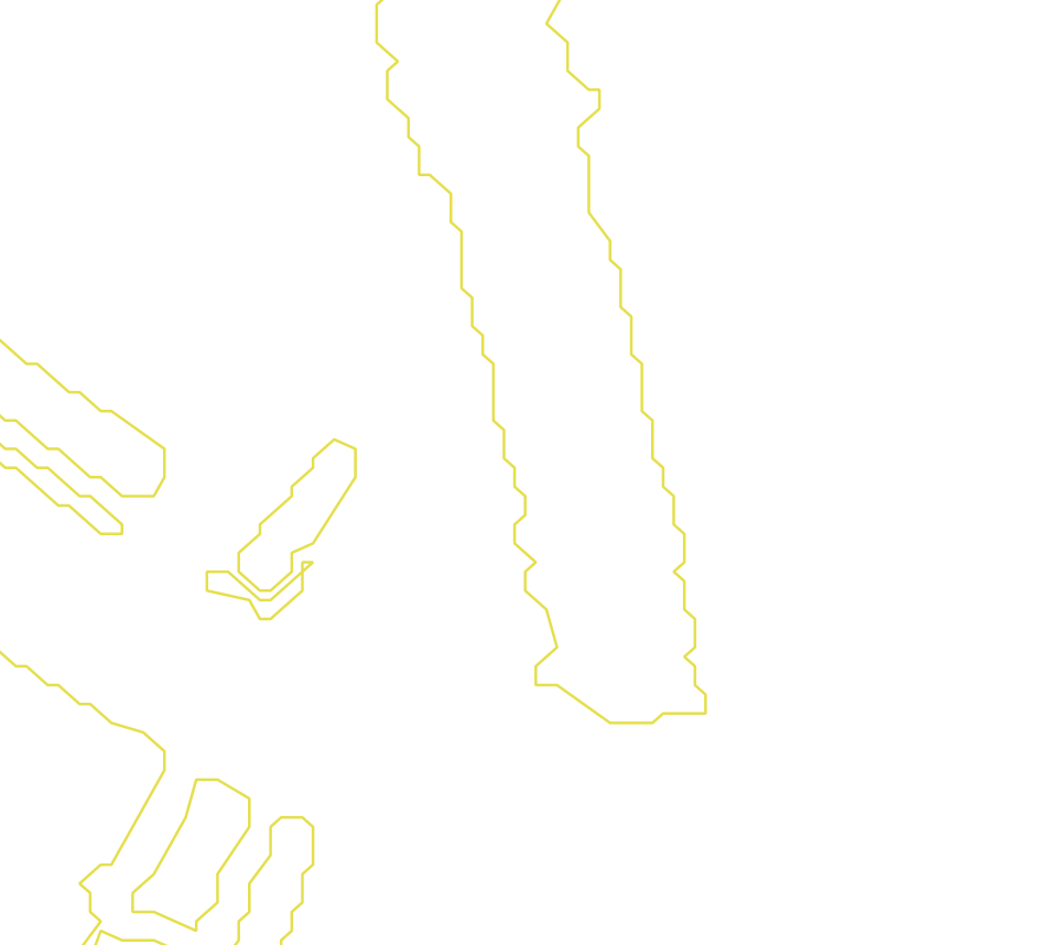 Daksegment met contourlijnen en structuurweergave