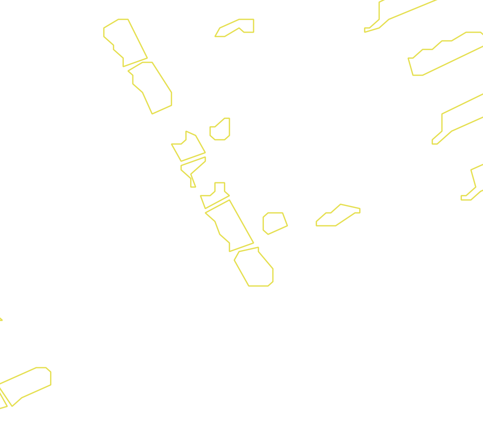 Daksegment met contourlijnen en structuurweergave