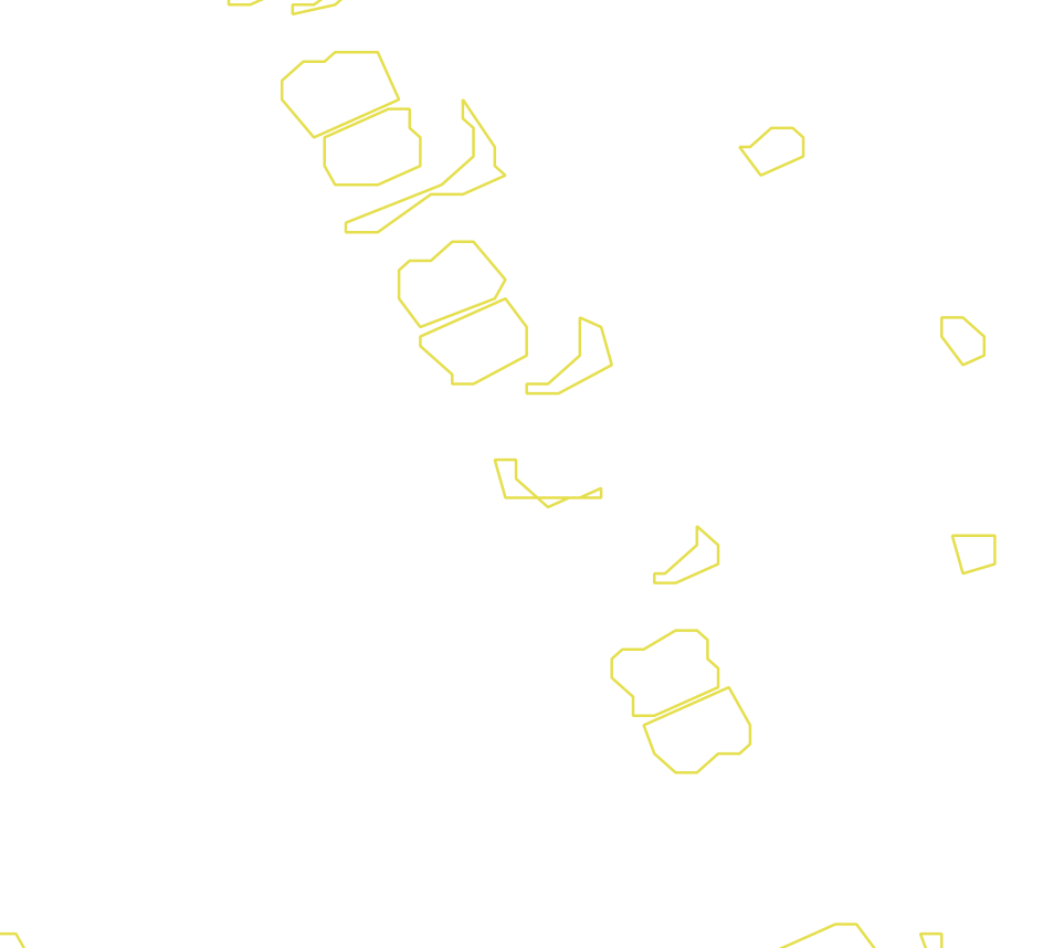 Daksegment met contourlijnen en structuurweergave