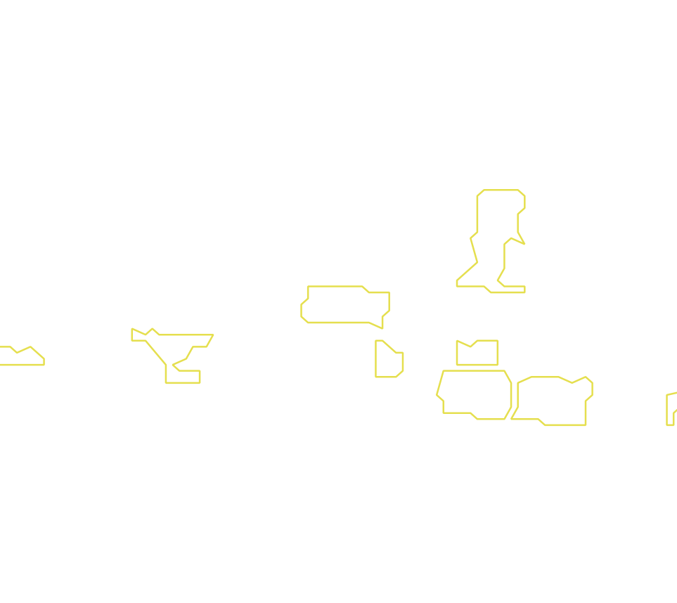 Daksegment met contourlijnen en structuurweergave
