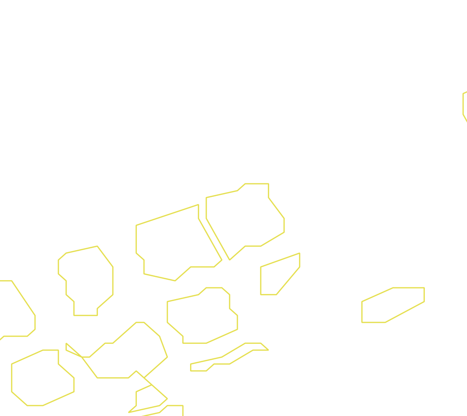 Daksegment ingezoomd met contourlijnen en structuurweergave
