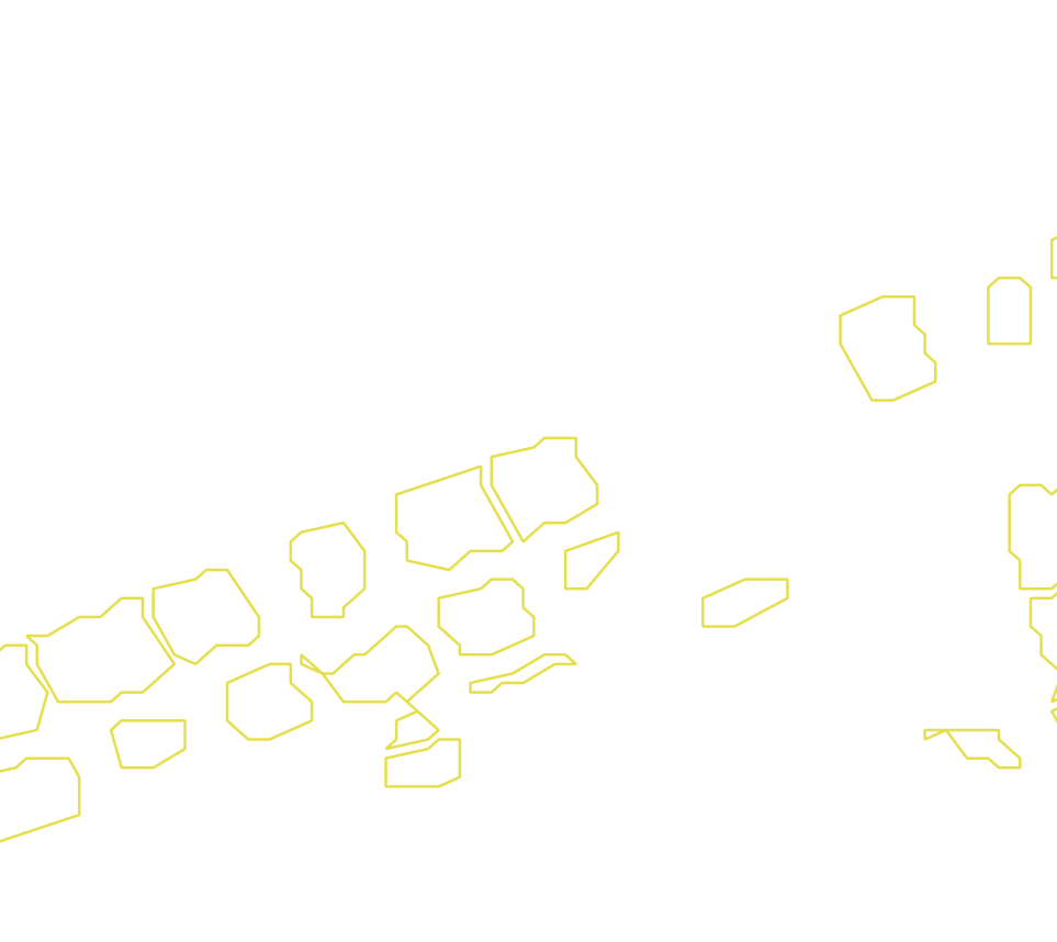 Daksegment met contourlijnen en structuurweergave