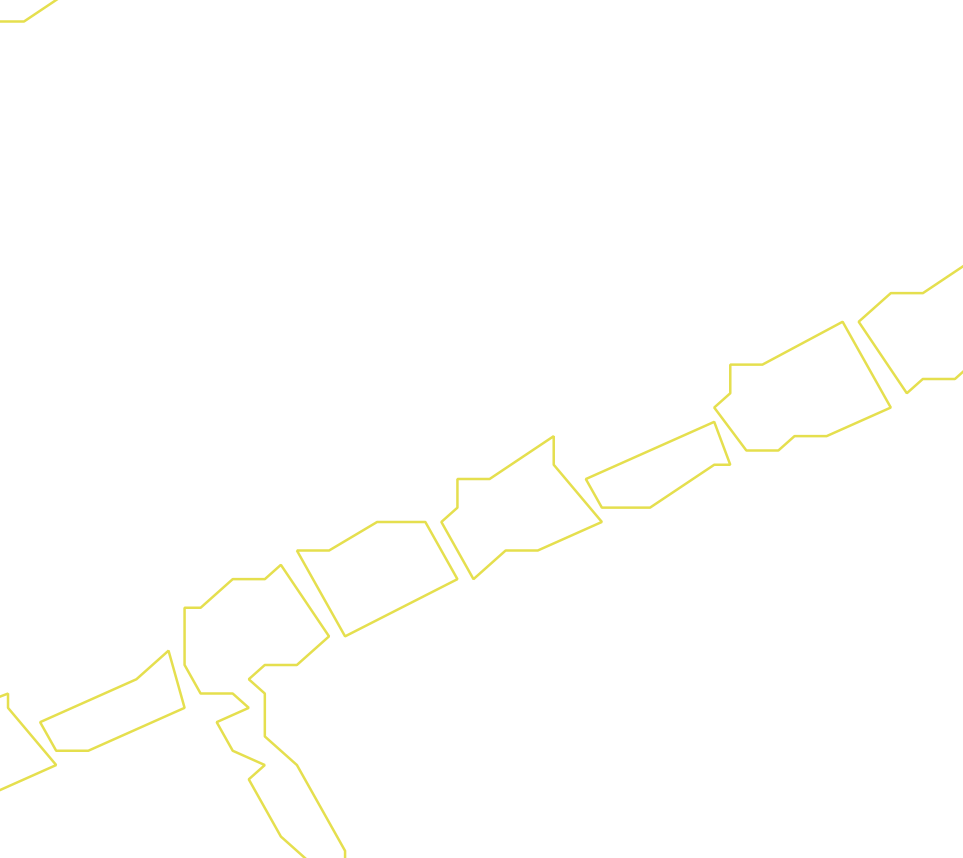 Daksegment ingezoomd met contourlijnen en structuurweergave