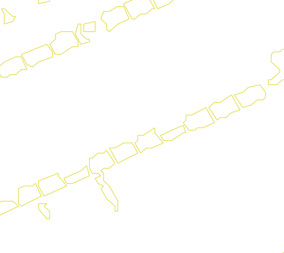 Daksegment met contourlijnen en structuurweergave