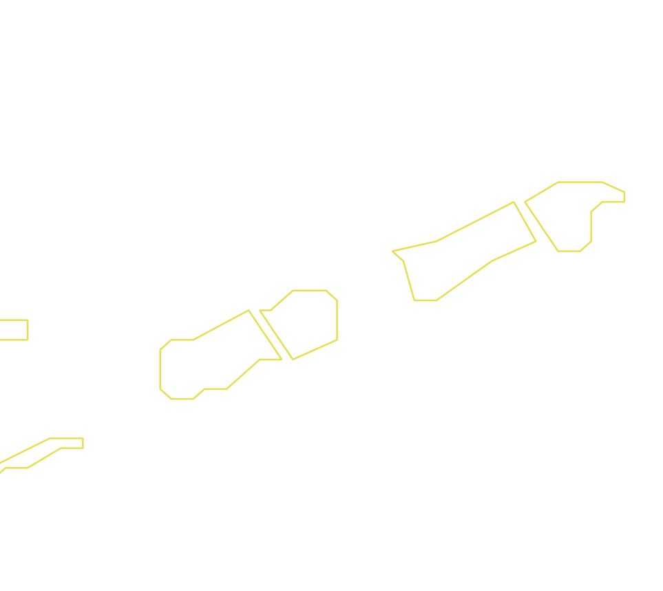Daksegment ingezoomd met contourlijnen en structuurweergave