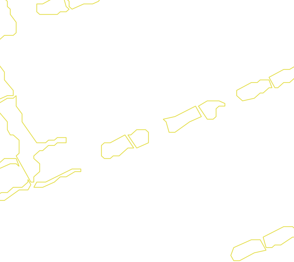 Daksegment met contourlijnen en structuurweergave