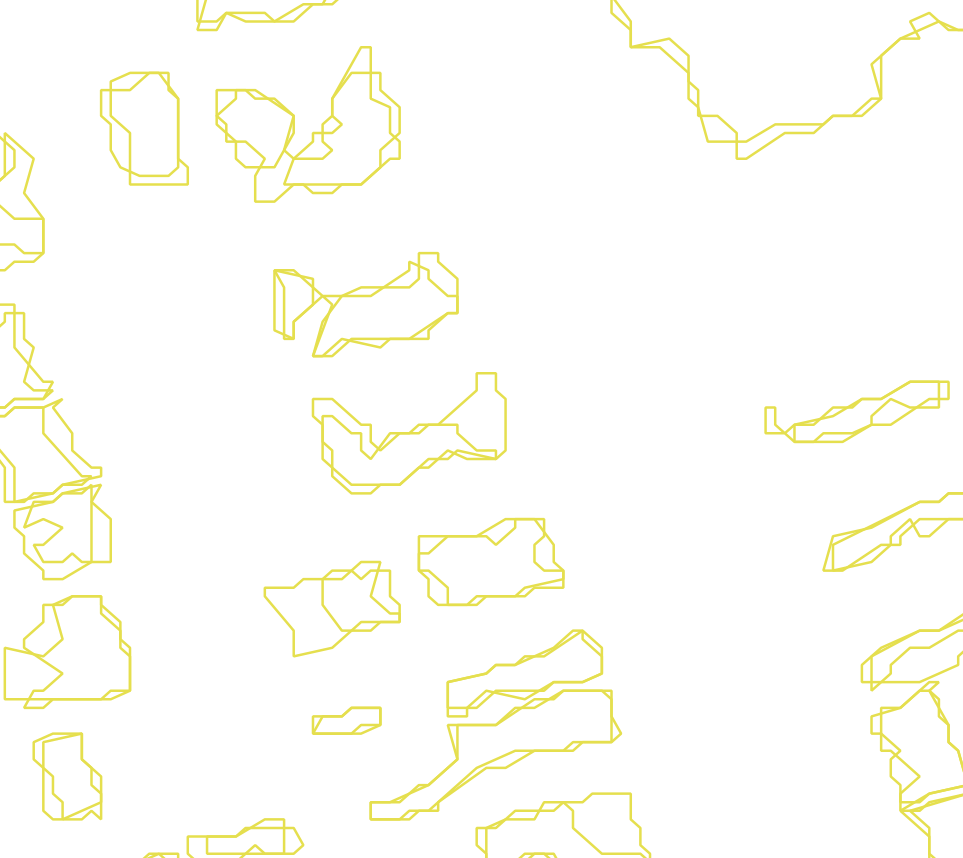 Daksegment met contourlijnen en structuurweergave