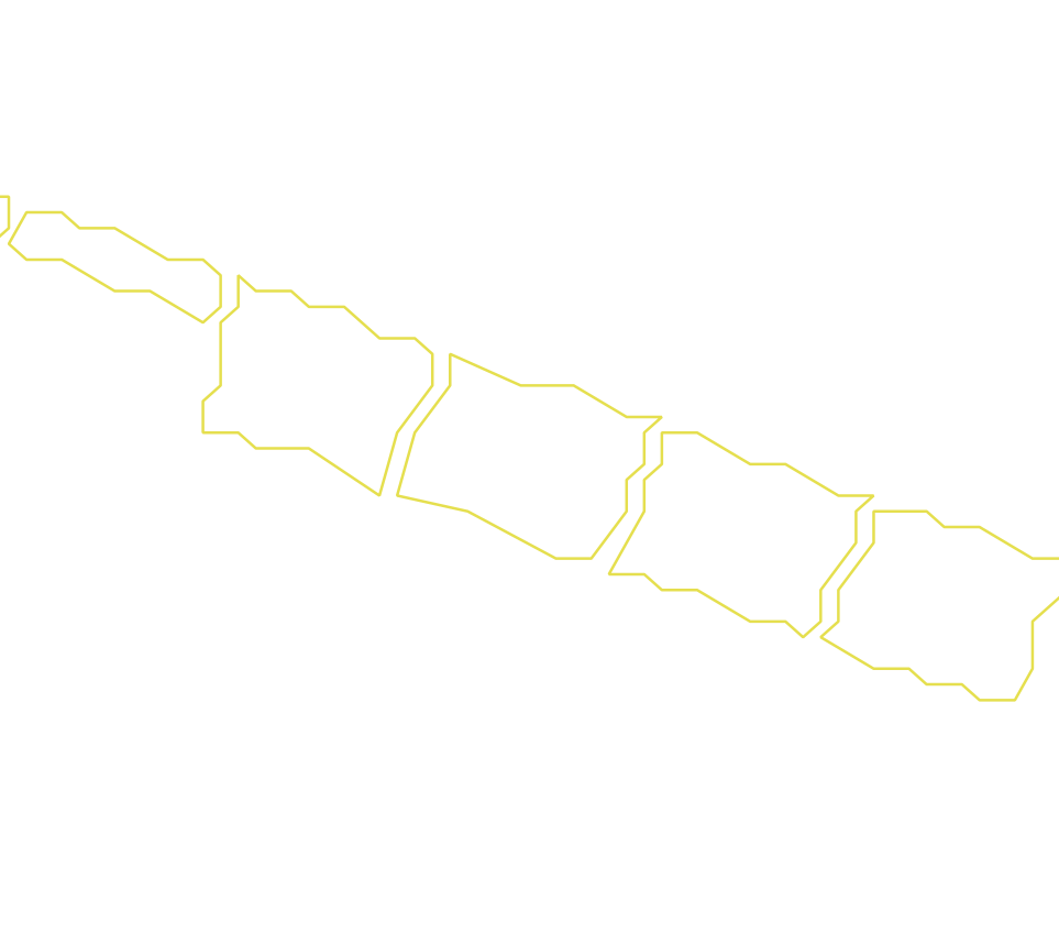 Daksegment ingezoomd met contourlijnen en structuurweergave
