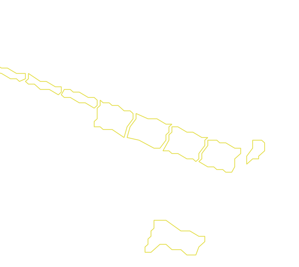 Daksegment met contourlijnen en structuurweergave