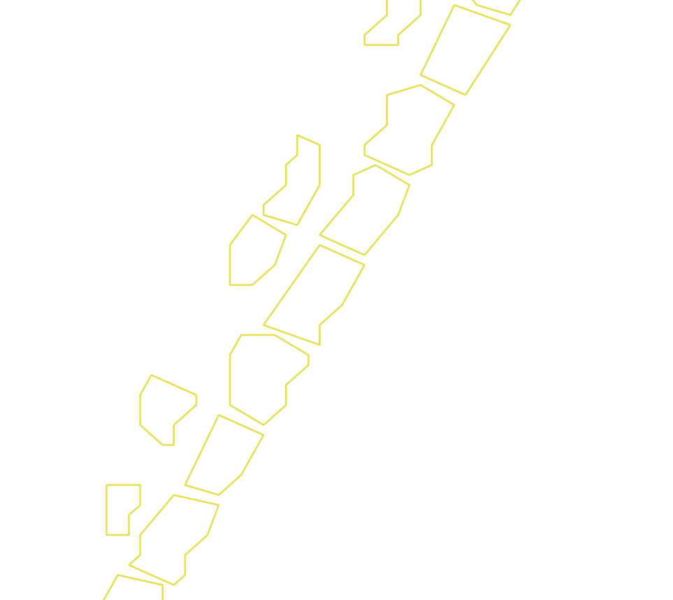 Daksegment ingezoomd met contourlijnen en structuurweergave