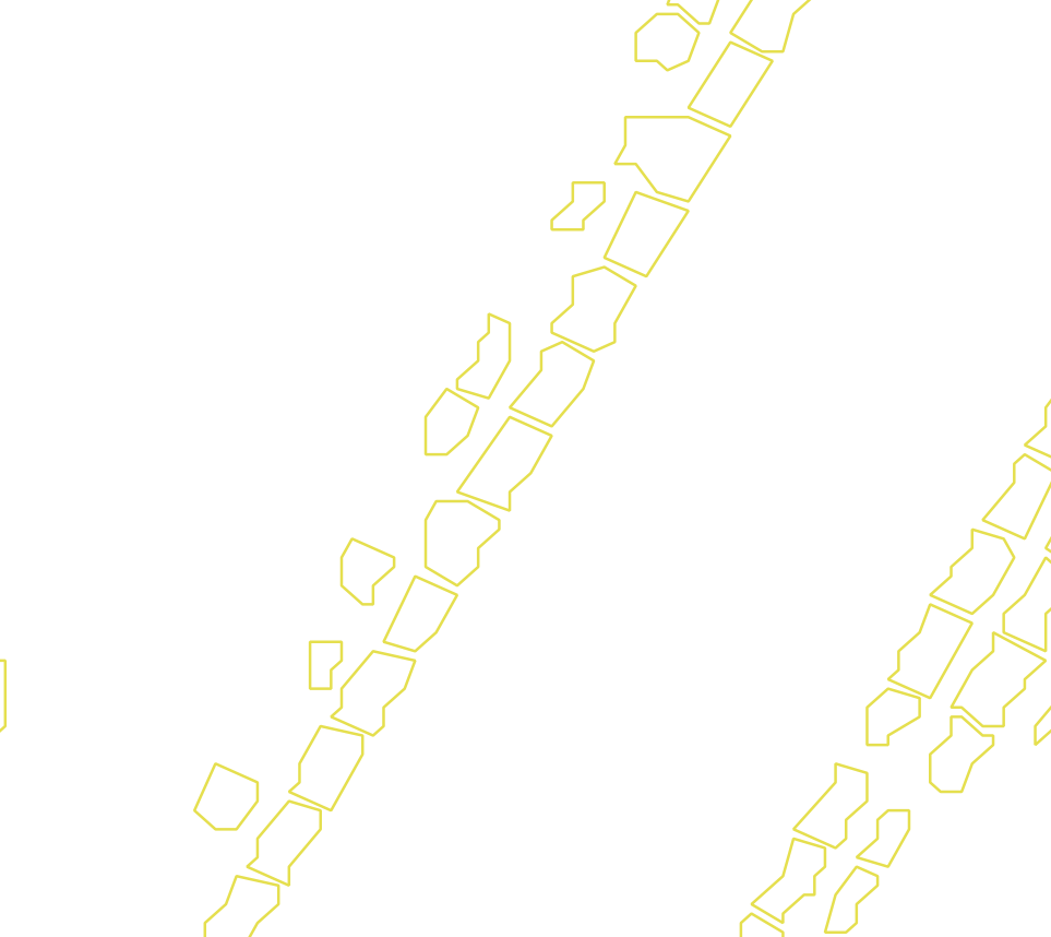Daksegment met contourlijnen en structuurweergave