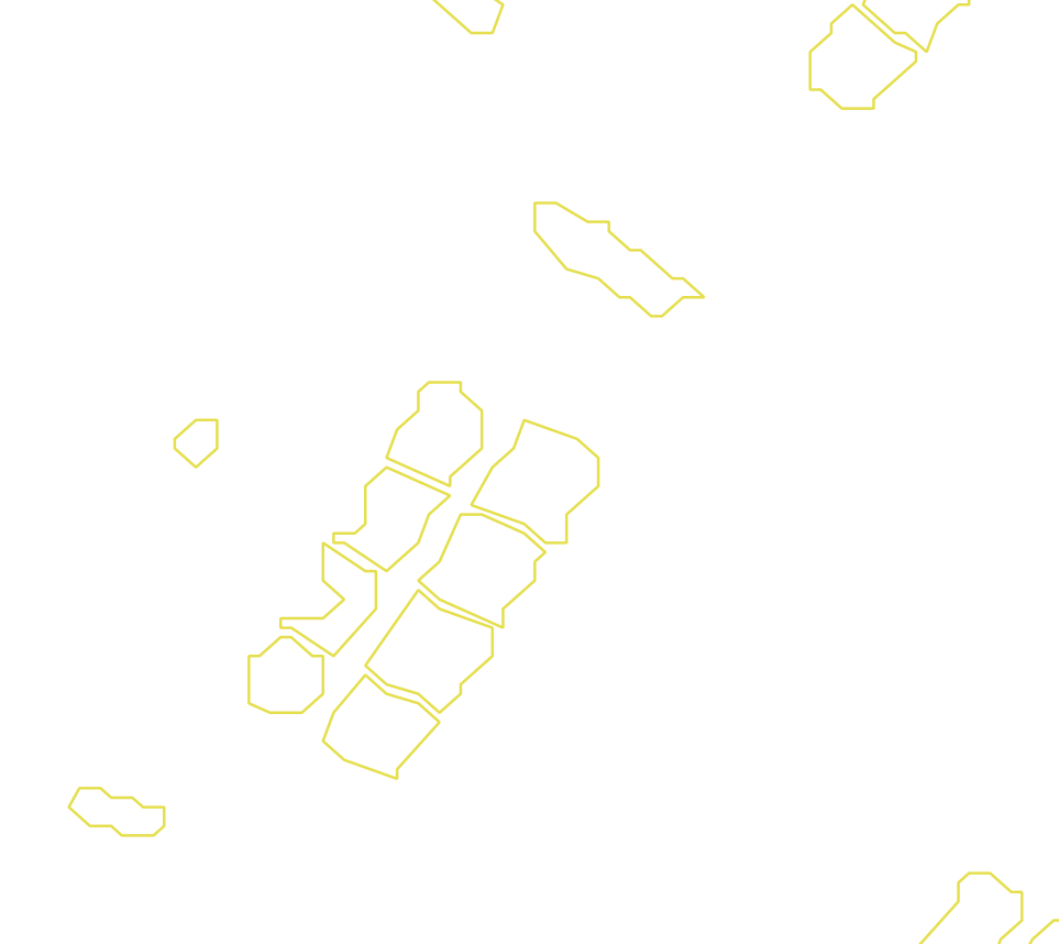 Daksegment met contourlijnen en structuurweergave