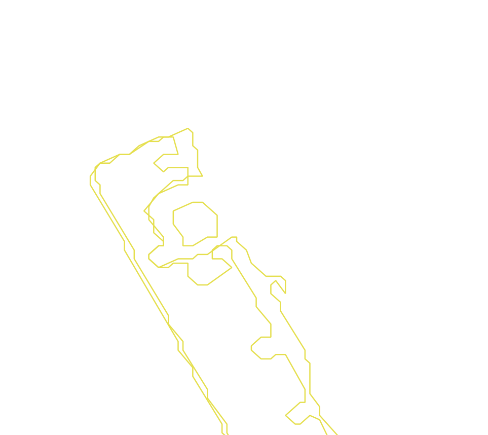 Daksegment met contourlijnen en structuurweergave
