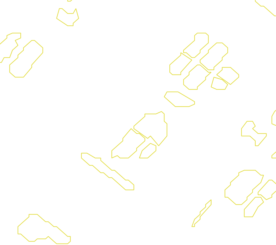 Daksegment met contourlijnen en structuurweergave