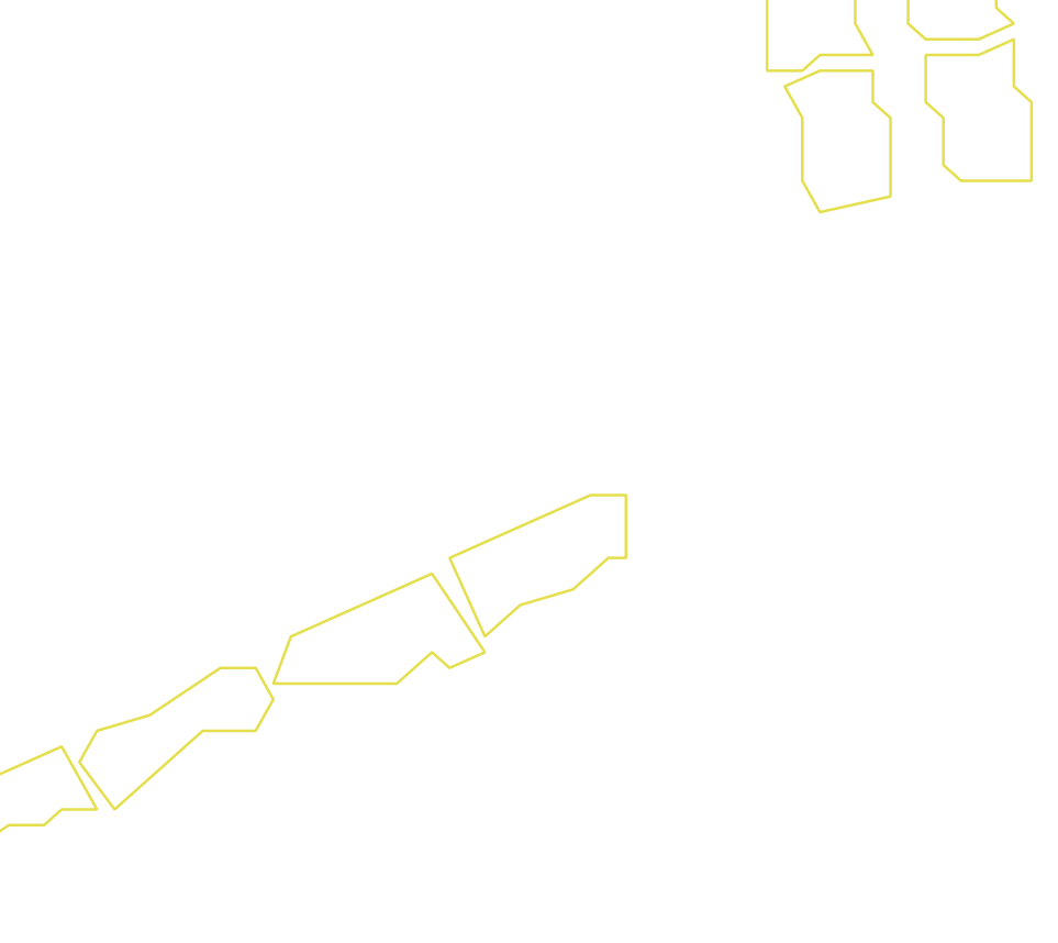 Daksegment ingezoomd met contourlijnen en structuurweergave