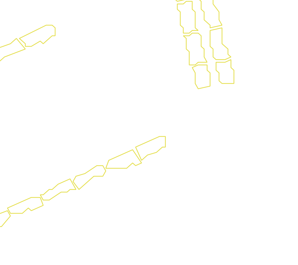 Daksegment met contourlijnen en structuurweergave