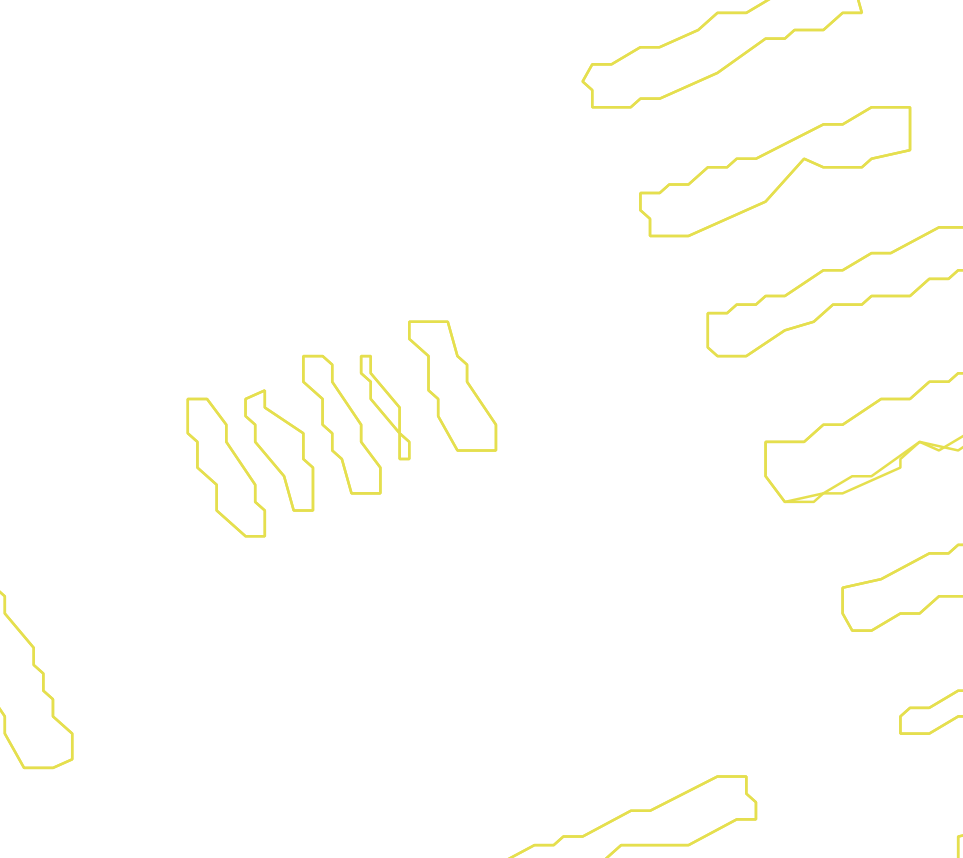 Daksegment met contourlijnen en structuurweergave