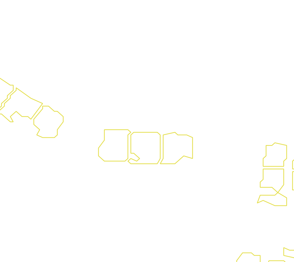 Daksegment met contourlijnen en structuurweergave