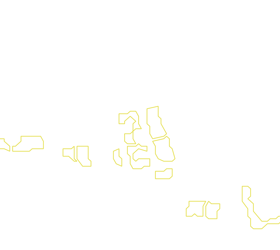 Daksegment met contourlijnen en structuurweergave