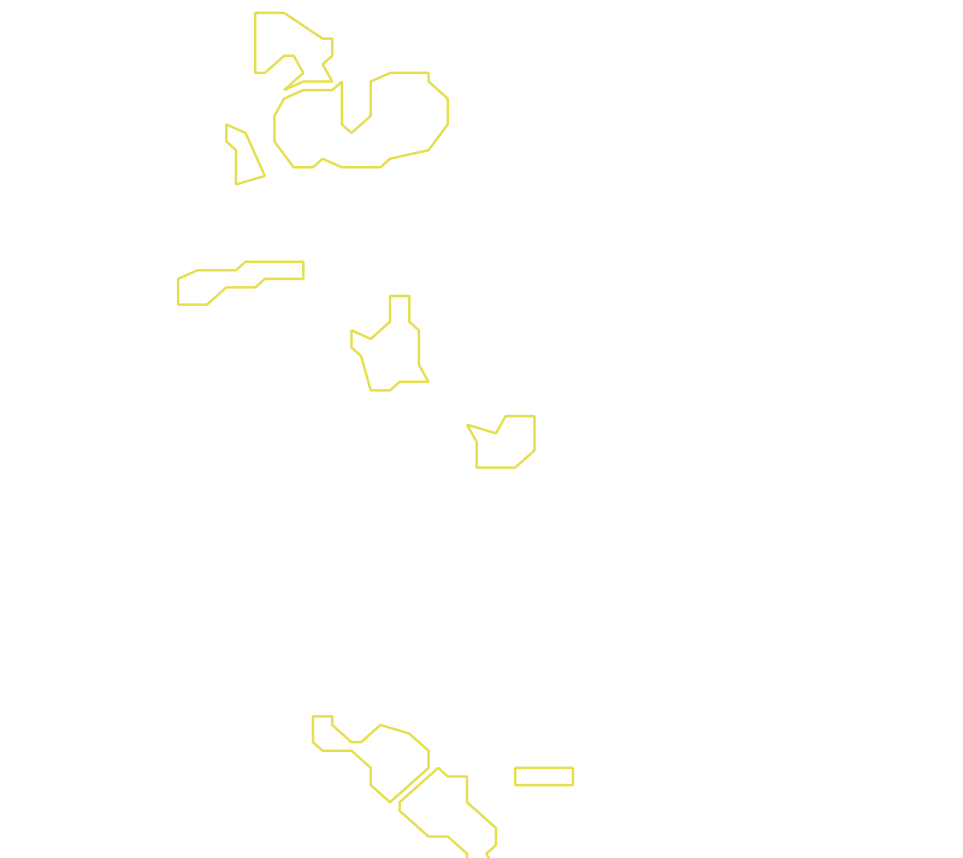 Daksegment met contourlijnen en structuurweergave
