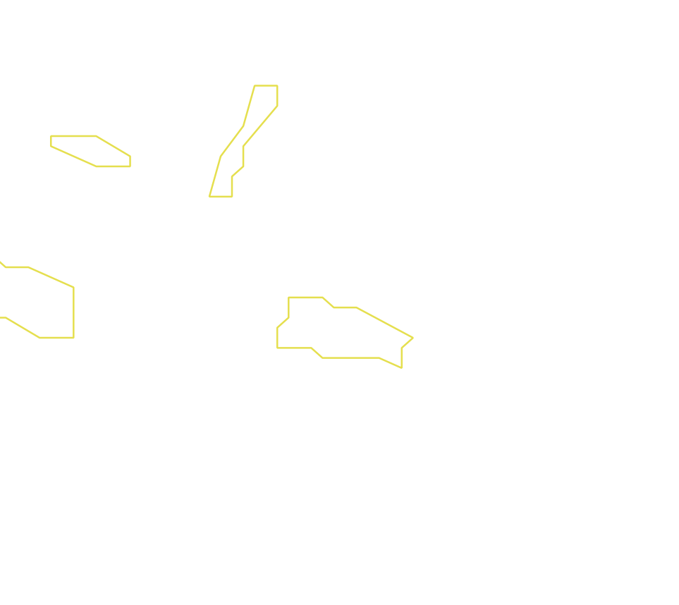 Daksegment ingezoomd met contourlijnen en structuurweergave