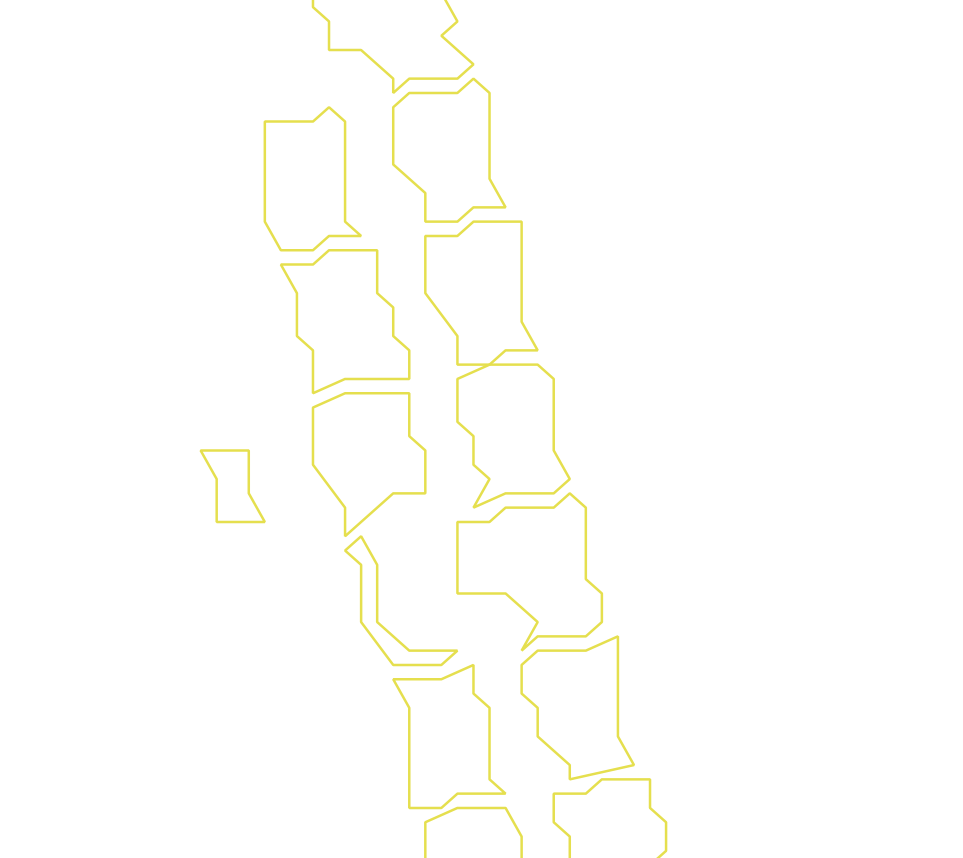 Daksegment ingezoomd met contourlijnen en structuurweergave