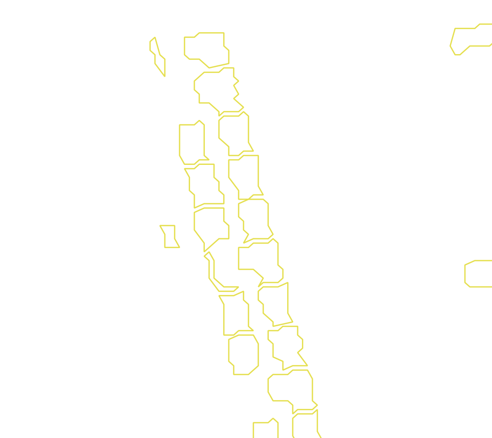 Daksegment met contourlijnen en structuurweergave