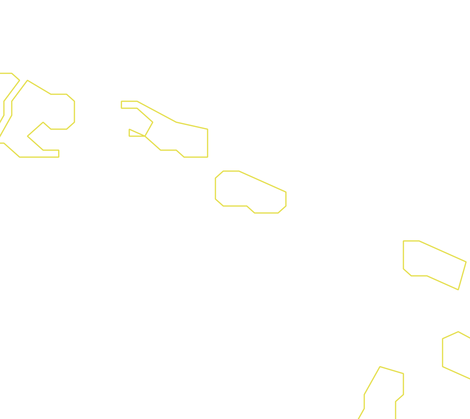 Daksegment ingezoomd met contourlijnen en structuurweergave