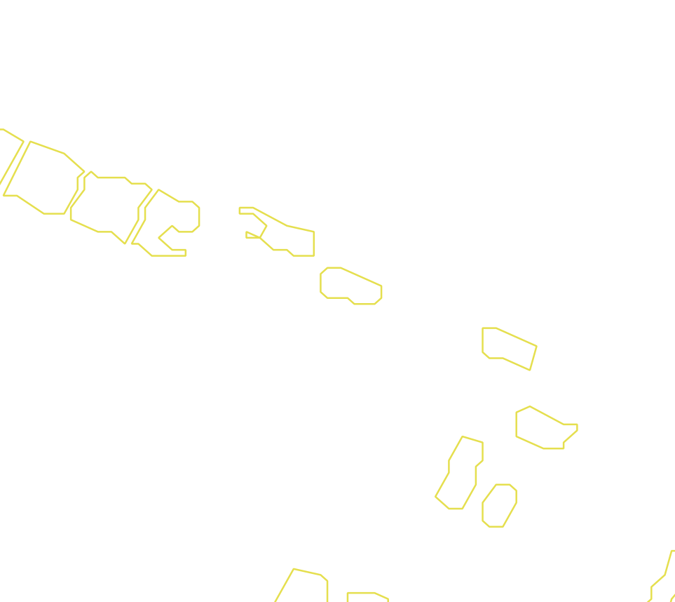 Daksegment met contourlijnen en structuurweergave