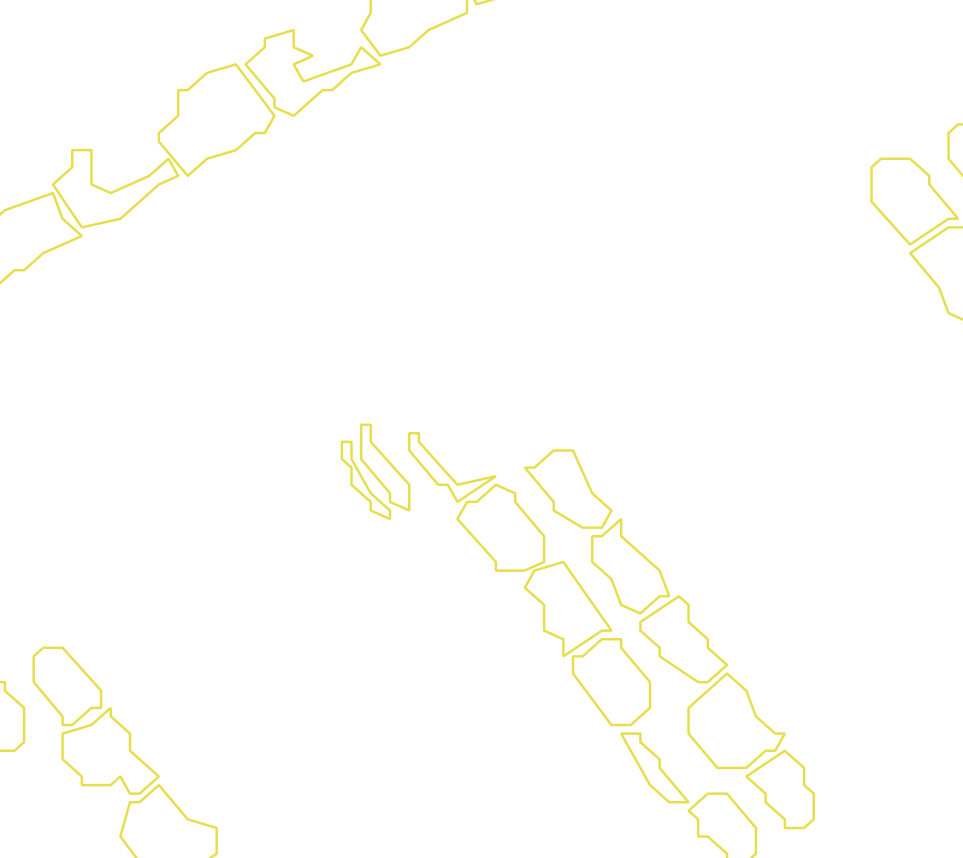 Daksegment met contourlijnen en structuurweergave