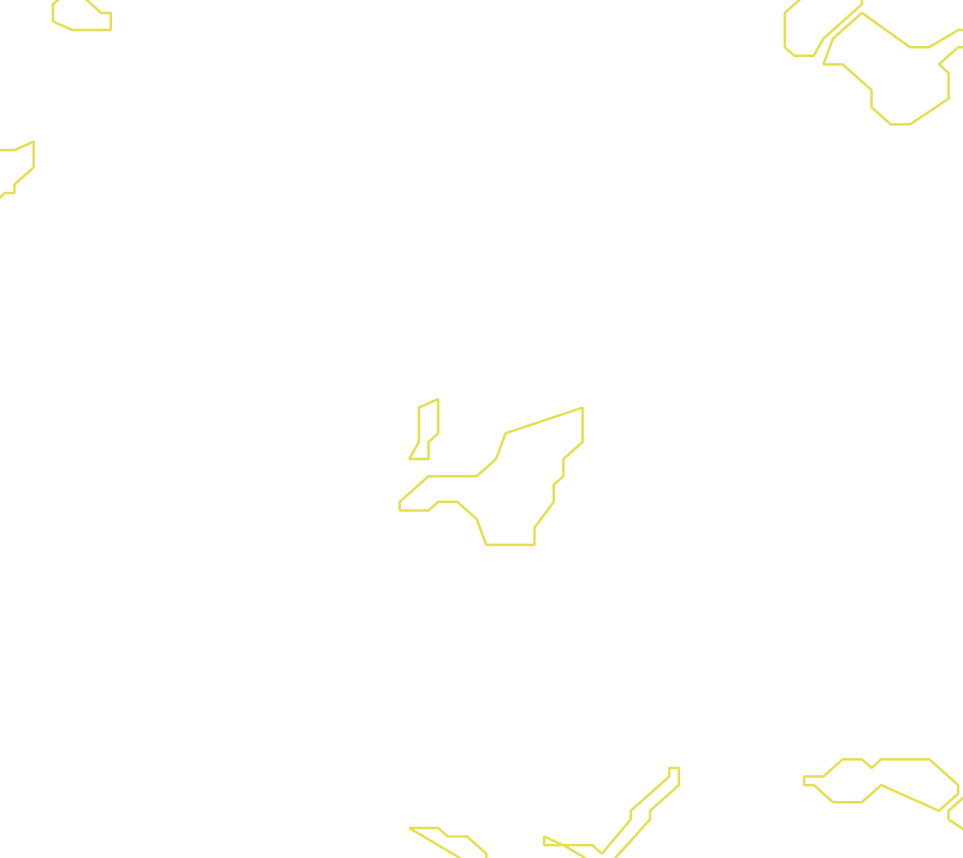 Daksegment met contourlijnen en structuurweergave