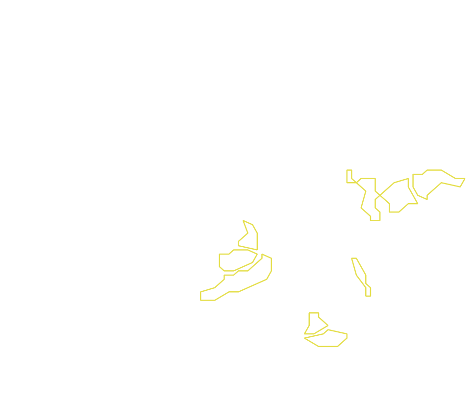 Daksegment met contourlijnen en structuurweergave