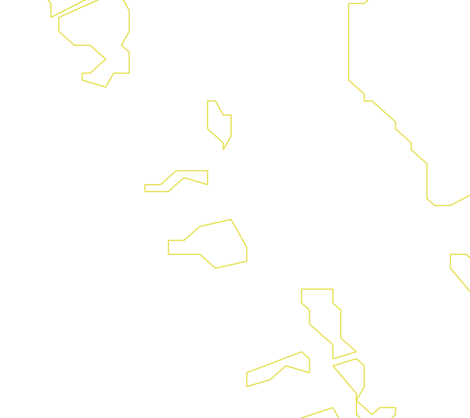 Daksegment ingezoomd met contourlijnen en structuurweergave