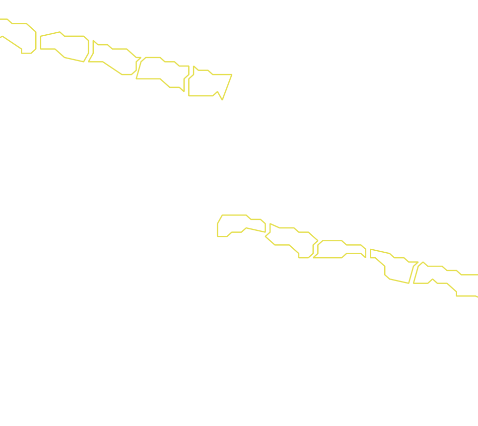 Daksegment met contourlijnen en structuurweergave