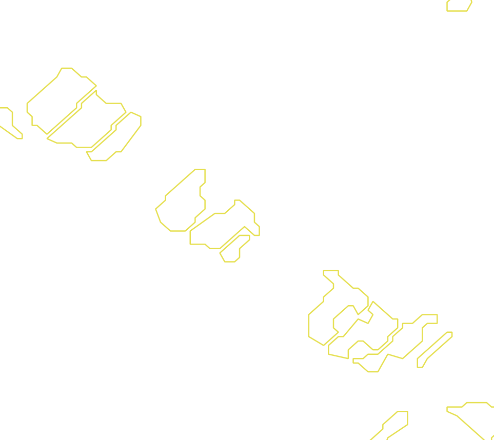 Daksegment met contourlijnen en structuurweergave