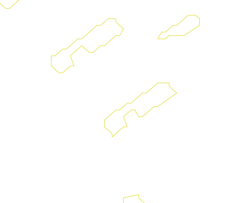 Daksegment ingezoomd met contourlijnen en structuurweergave
