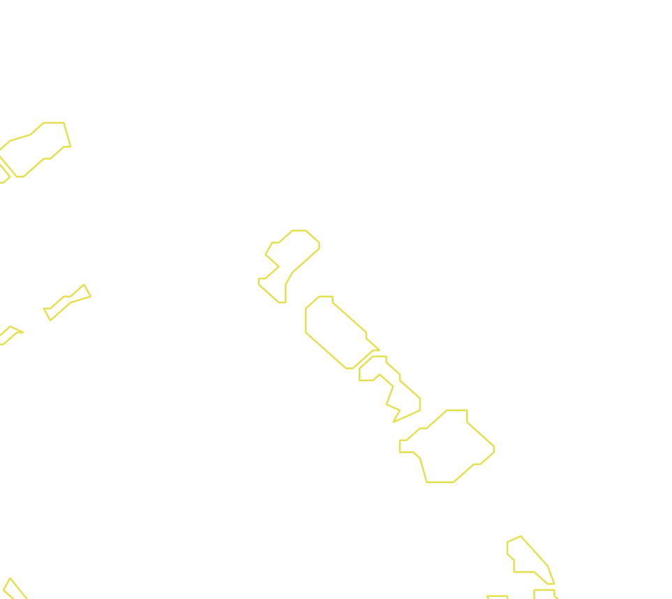 Daksegment met contourlijnen en structuurweergave