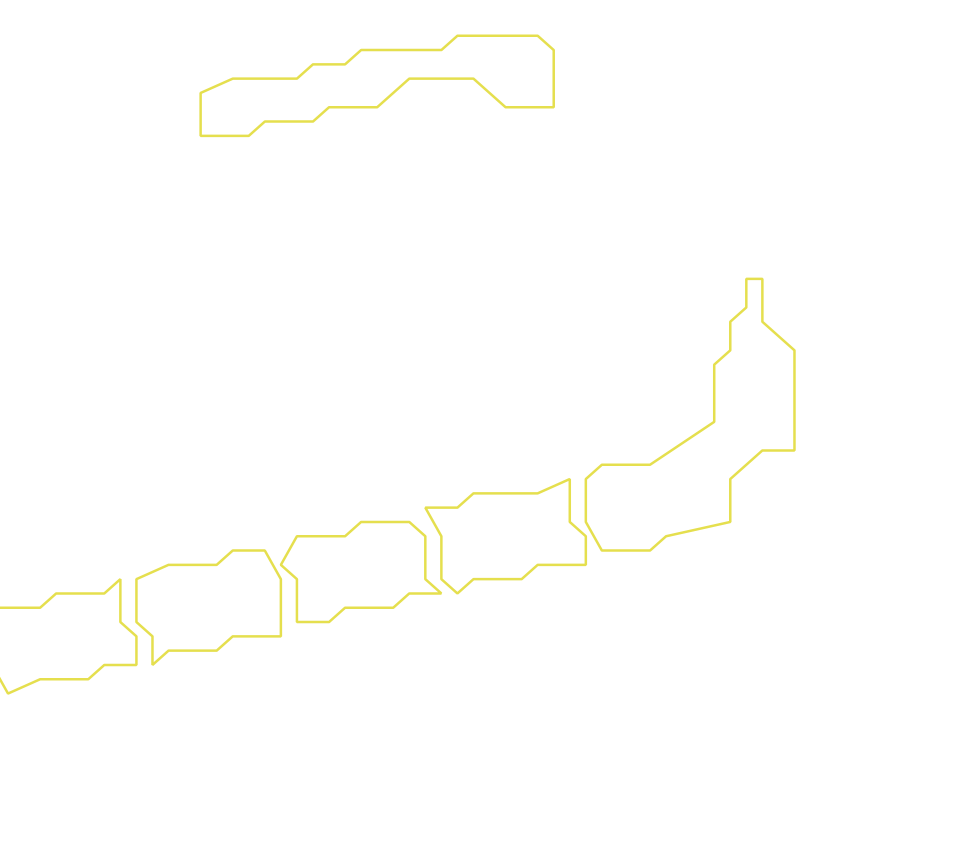 Daksegment ingezoomd met contourlijnen en structuurweergave