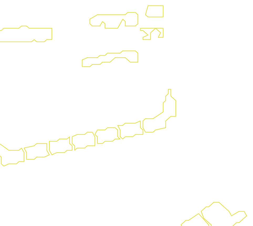 Daksegment met contourlijnen en structuurweergave