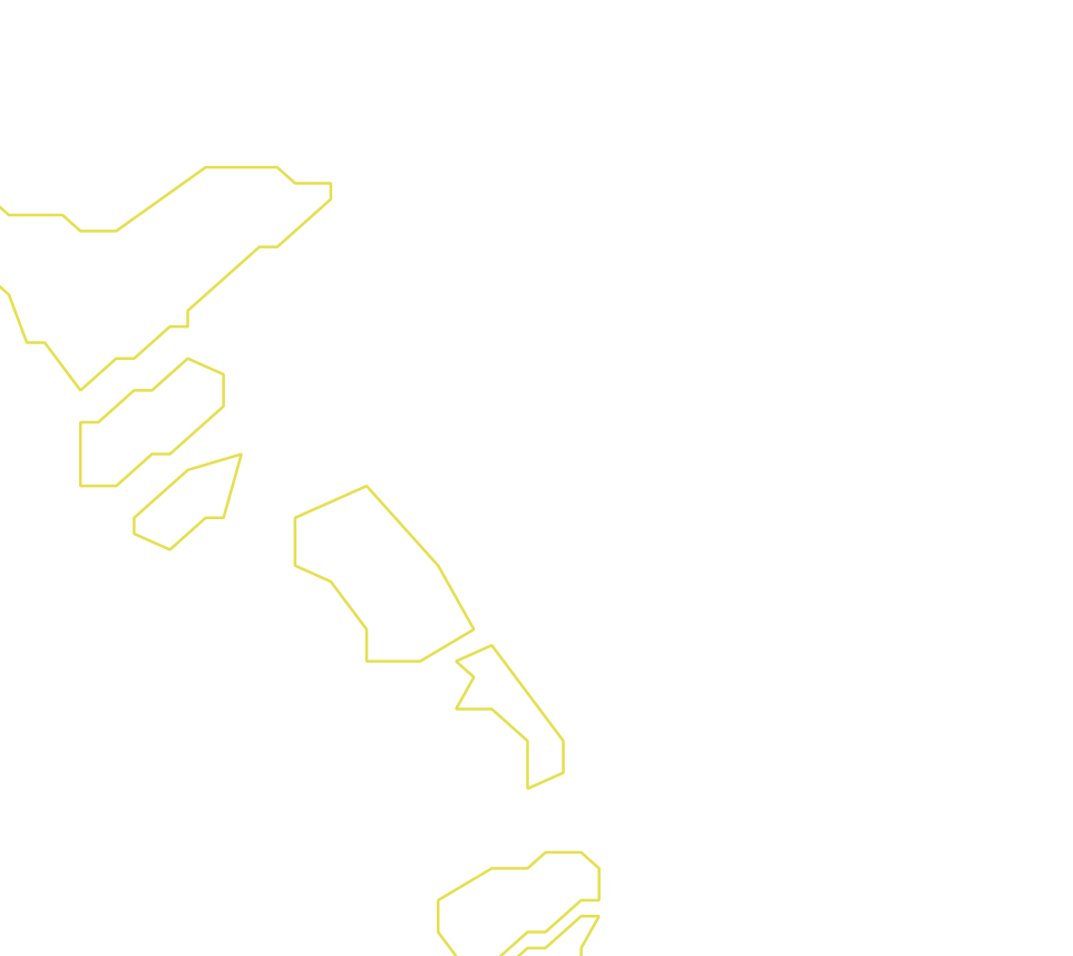 Daksegment ingezoomd met contourlijnen en structuurweergave