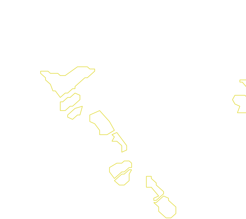 Daksegment met contourlijnen en structuurweergave