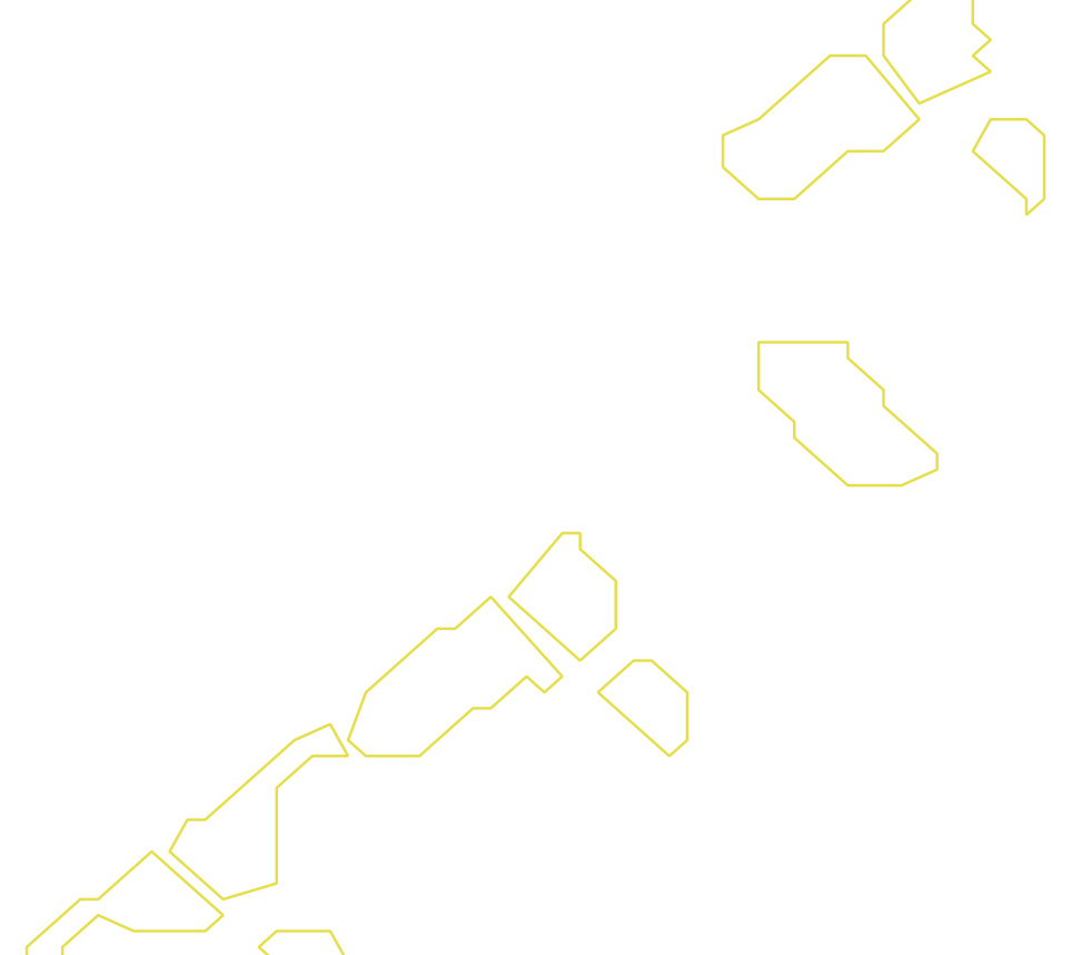 Daksegment ingezoomd met contourlijnen en structuurweergave