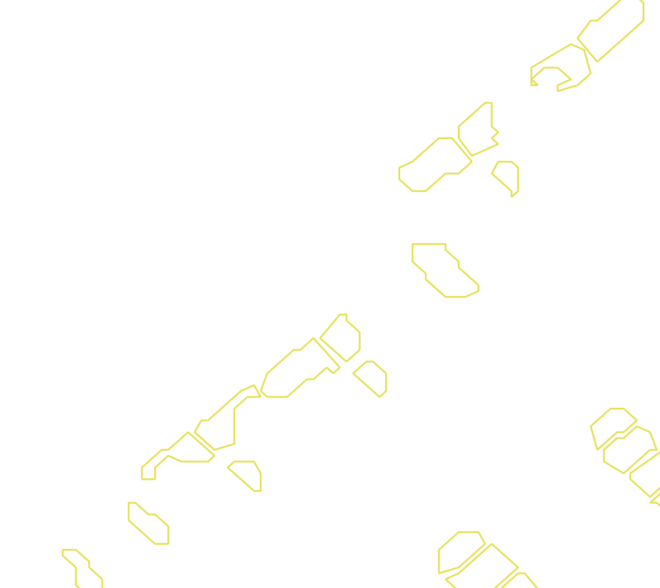 Daksegment met contourlijnen en structuurweergave