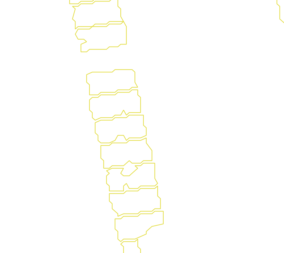 Daksegment met contourlijnen en structuurweergave