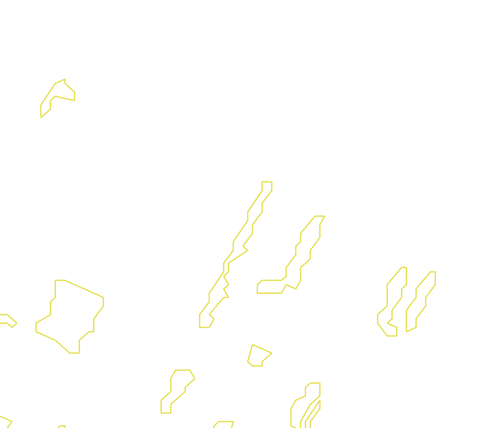 Daksegment met contourlijnen en structuurweergave