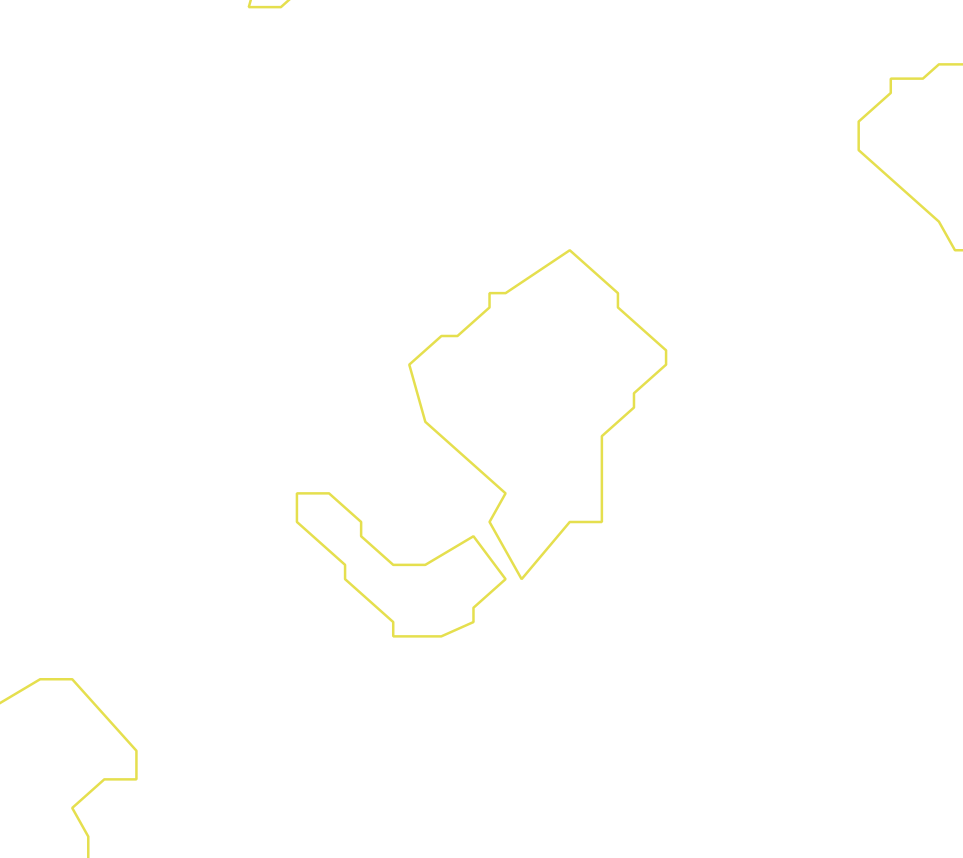 Daksegment ingezoomd met contourlijnen en structuurweergave