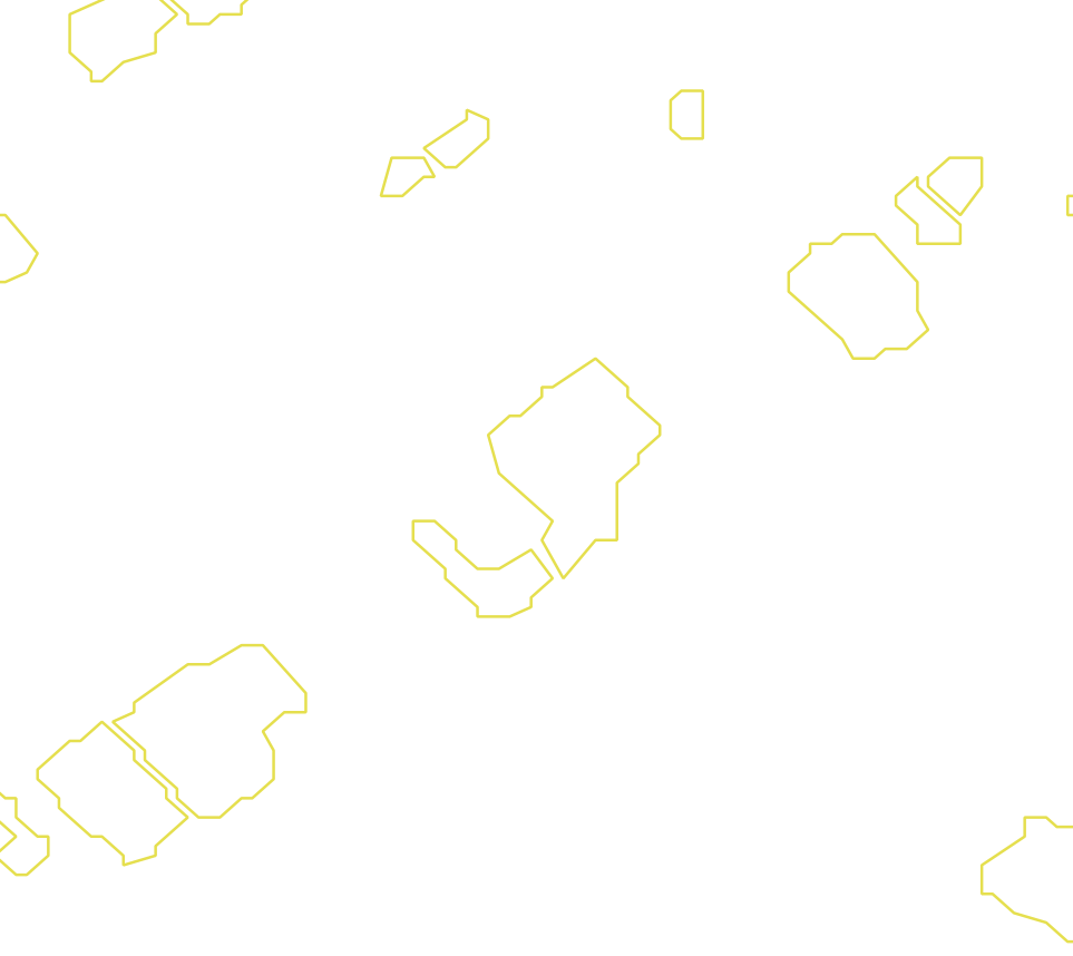 Daksegment met contourlijnen en structuurweergave