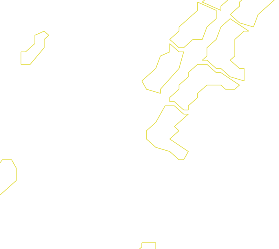 Daksegment ingezoomd met contourlijnen en structuurweergave
